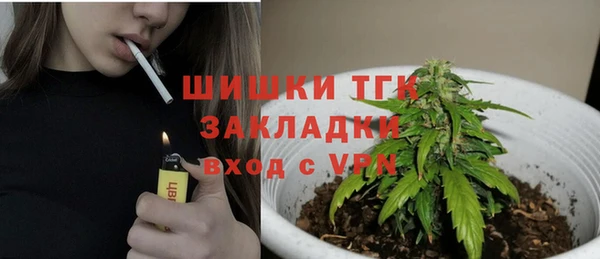 apvp Богородицк