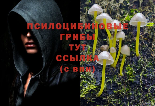 MDMA Premium VHQ Богданович