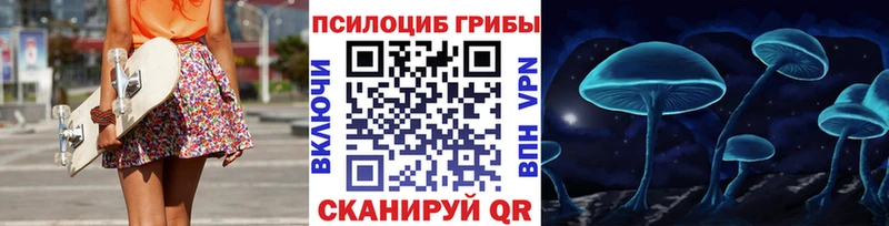 Псилоцибиновые грибы Cubensis Борисоглебск